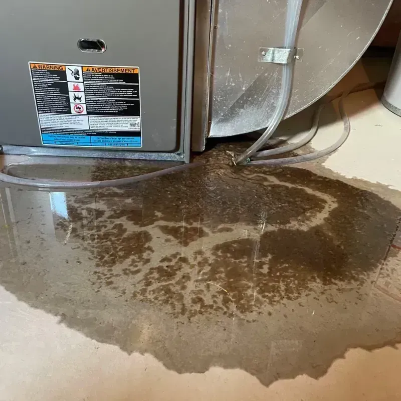 Appliance Leak Cleanup in Juneau County, WI